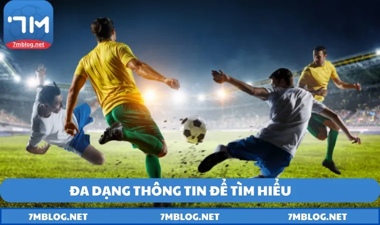 Đa dạng thông tin để tìm hiểu