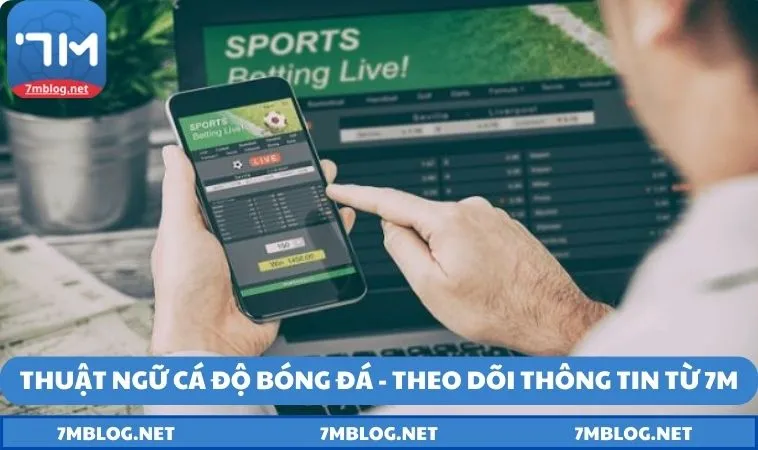 Thuật ngữ cá độ bóng đá - Theo dõi thông tin từ 7M