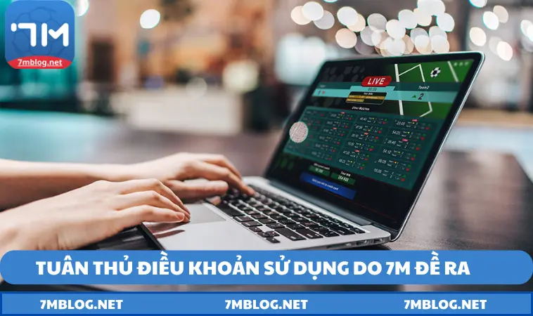 Tuân thủ điều khoản sử dụng do 7M đề ra