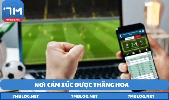 Tỷ lệ cá cược bóng đá